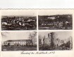 NÖ: Gruß aus Loosdorf bei Mistelbach um 1950  4 Ansichten